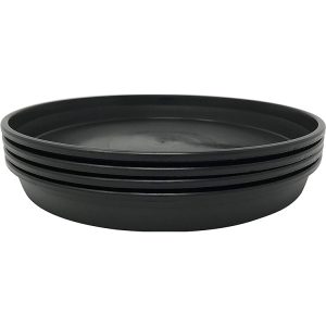 Plantas suculentas redondas plásticas maceta plato negro bandejas