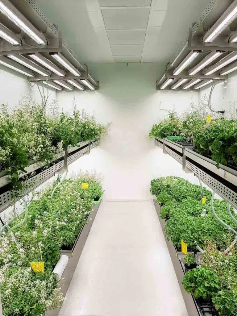 factory greenhouse