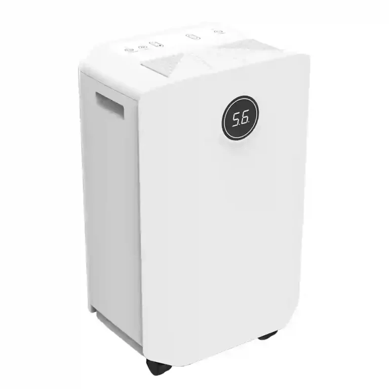 Can Most Energy-Efficient Dehumidifiers Combat Mold in High-Humidity Climates