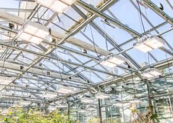 Hydroponics-1