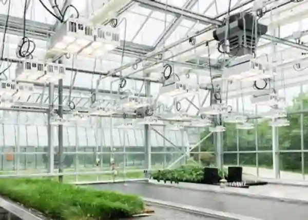 Hydroponics Setup Costs Estimate with ChatGPT-5
