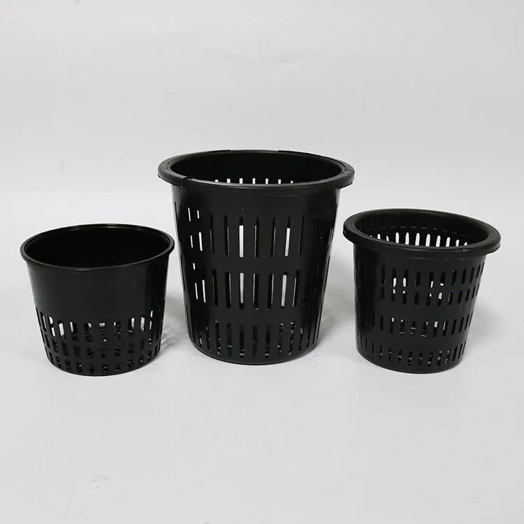 Net Pots for Hydroponics Top 2025 Choices for Greenhouses