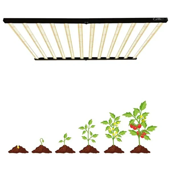 1000W 1200W 1400W 4x6FT LED Grow Lights Samsung lm301B Full Spectrum Lamp 3