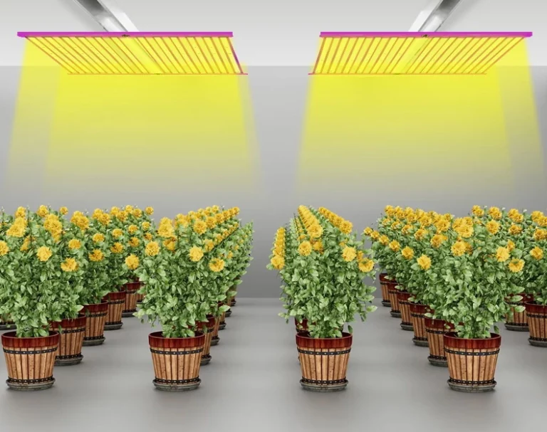 Barra de luz LED para cultivo vs. Panel Quantum: Cómo el diseño de la luminaria cambia la cobertura del dosel